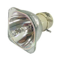 BENQ 5J.JC505.001 Lampe uten lampemodul